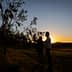 Silhouettes of two individuals standing by an olive tree during sunset with a clear sky. - Olive Oil Times