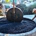 Man operating a traditional olive press with a horse in the background and olives in a stone basin. - Olive Oil Times