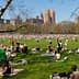 Large crowd of people enjoying a sunny day on the grass in Central Park, New York City. - Olive Oil Times