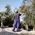 Man using a pole to harvest olives from a tree during an olive harvesting process. - Olive Oil Times
