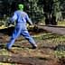 Person in blue overalls collecting olives on a net in an olive grove. - Olive Oil Times