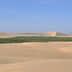 A vast desert landscape featuring rolling sand dunes and a green oasis in the center. - Olive Oil Times