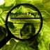 Magnifying glass focusing on nutrition facts label on leafy greens background. - Olive Oil Times