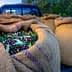 Burlap sacks filled with freshly harvested olives in a pickup truck bed. - Olive Oil Times
