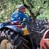 A man wearing a blue jacket and cap sits on a New Holland tractor in an olive grove. - Olive Oil Times