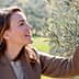 Woman with long brown hair picking olives from an olive tree branch in an outdoor setting. - Olive Oil Times