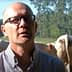 A man wearing glasses and a checked shirt standing in front of a herd of cattle in a field. - Olive Oil Times