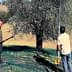Two men using tools to harvest olives from an olive tree in a field. - Olive Oil Times