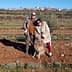 A couple standing in an olive grove with a dog, smiling at the camera. - Olive Oil Times
