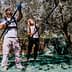 Two individuals using long poles to harvest olives from trees in an olive grove. - Olive Oil Times