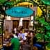 Entrance sign of Peskesi restaurant with greenery and patrons dining inside. - Olive Oil Times
