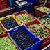Various baskets filled with green, black, and purple olives arranged at a market. - Olive Oil Times