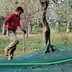 A man wearing a red shirt and gloves walking through an olive grove with green nets on the ground. - Olive Oil Times