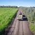 Tractor pulling a trailer loaded with green produce on a dirt road through an olive grove. - Olive Oil Times