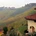 Vineyard landscape featuring terraced rows of grapevines and a house in the foreground. - Olive Oil Times