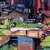 A variety of fresh vegetables displayed in baskets at a market, with a vendor seated nearby. - Olive Oil Times