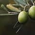 Two green olives hanging from a branch with olive leaves in a natural setting. - Olive Oil Times