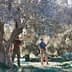 Two individuals using long poles to harvest olives from trees in an orchard. - Olive Oil Times