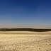 A green area of trees surrounded by a barren desert landscape under a clear blue sky. - Olive Oil Times
