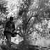 Individual capturing images of olive trees in a black and white setting with a camera. - Olive Oil Times