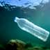 Clear plastic water bottle floating underwater with sunlight filtering through the surface. - Olive Oil Times