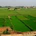 Expansive green agricultural fields with varying shades of crops in a rural landscape. - Olive Oil Times