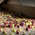 Freshly harvested olives flowing through a processing machine during olive oil production. - Olive Oil Times