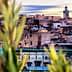 Panoramic view of the Fes Medina with a prominent minaret in the background. - Olive Oil Times