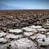 Dry, cracked salt flats with a barren landscape and distant mountains in the background. - Olive Oil Times