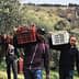 Two men carrying baskets filled with olives during the harvest season in an olive grove. - Olive Oil Times