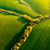 Aerial view of lush green fields intersected by a narrow tree-lined path. - Olive Oil Times