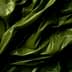 Wrinkled, shiny green fabric with light and shadow creating dynamic folds.