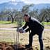 A man in a suit planting an olive tree in a field with mountains in the background. - Olive Oil Times
