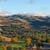 Una vista panoramica delle dolci colline della California con alberi e cielo limpido. - Olive Oil Times