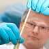 Un scientifique portant des gants examine un tube à essai avec une bandelette d'analyse colorimétrique pour la mesure. - Olive Oil Times