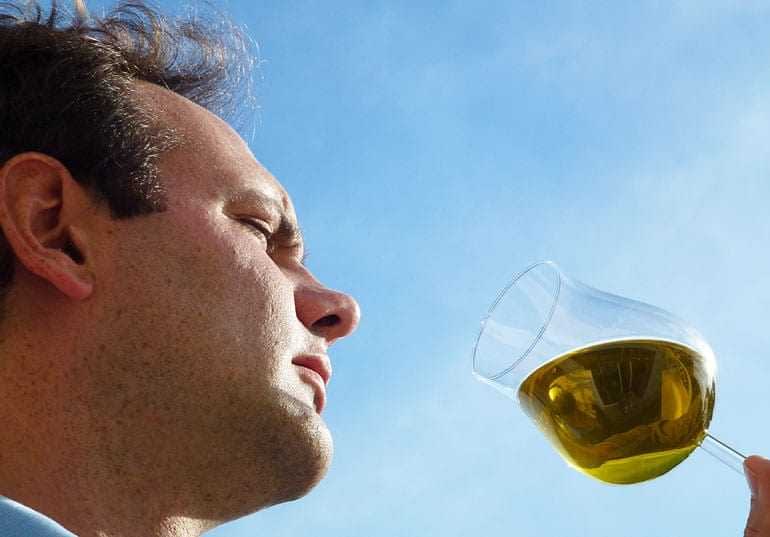 A man examining a glass of olive oil against a blue sky background. - Olive Oil Times