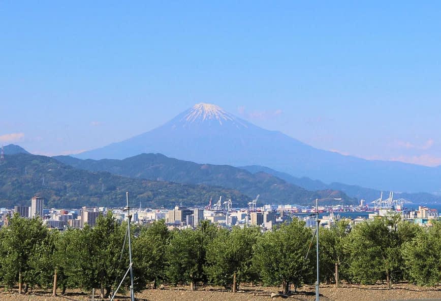 Mount Fuji visible in the background with a cityscape and trees in the foreground. - Olive Oil Times