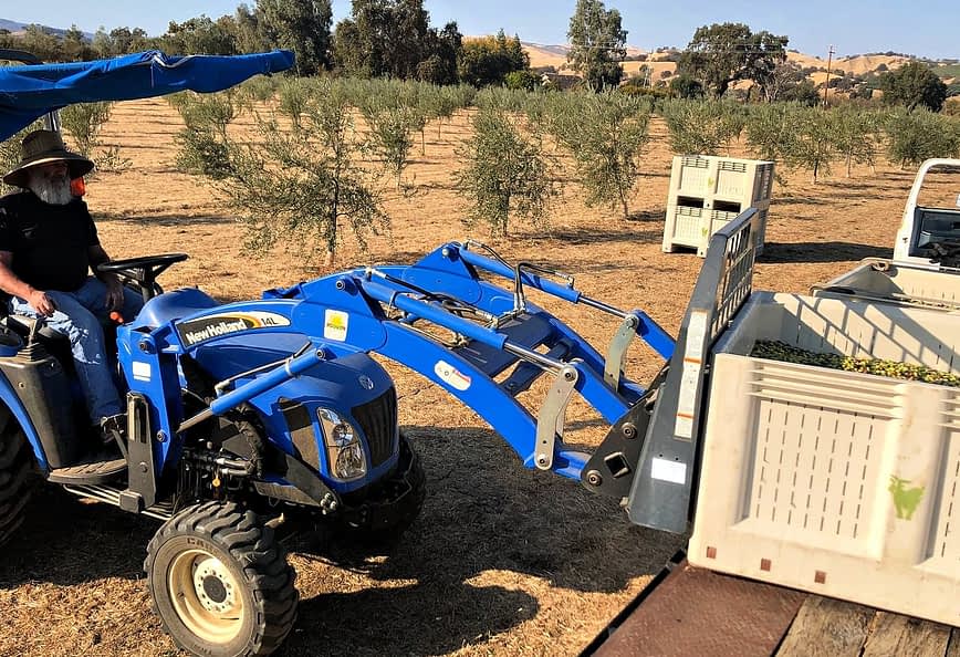 A blue tractor with a loader attachment being operated in an olive orchard. - Olive Oil Times