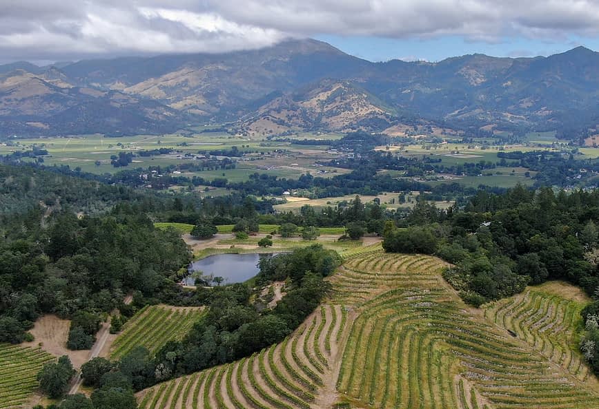 Aerial view of vineyards with rows of grapevines and mountains in the background. - Olive Oil Times