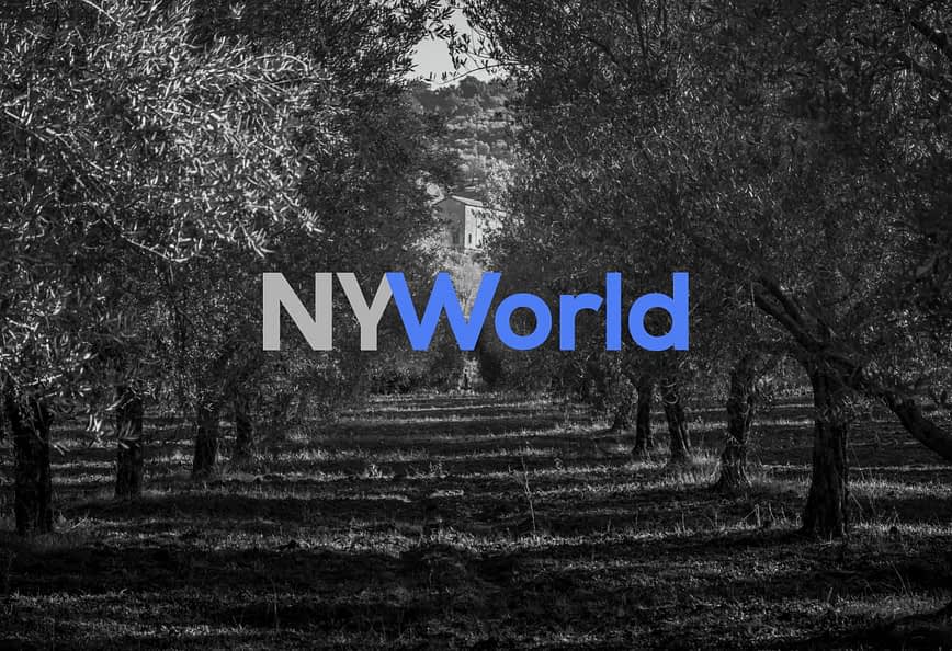 Crno-bijela slika maslinika s logotipom NYWorld u plavoj i sivoj boji. - Olive Oil Times