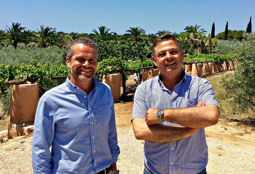 Two men standing in an olive grove, smiling and posing for the camera. - Olive Oil Times