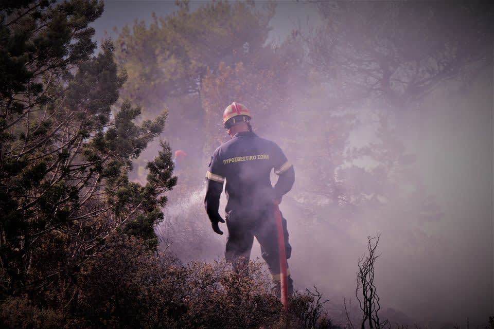 Gasilec, ki nosi zaščitno opremo, dela v zadimljenem okolju med operacijo odzivanja na požar. - Olive Oil Times
