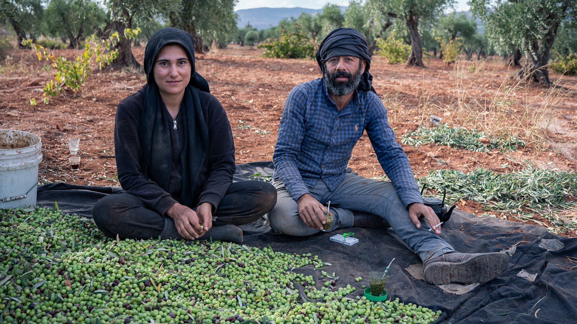 Amid the Hum of Olive Mills, Afrin Farmers Work Under Threat
