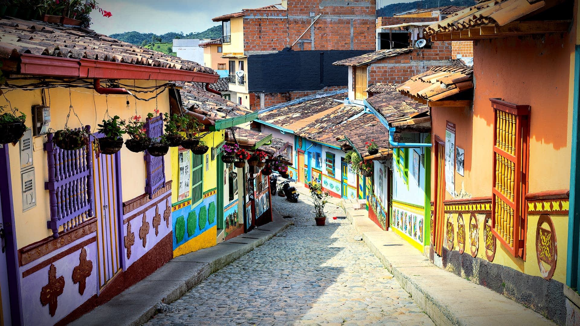 The Opportunities and Challenges of Colombia’s Olive Oil Market