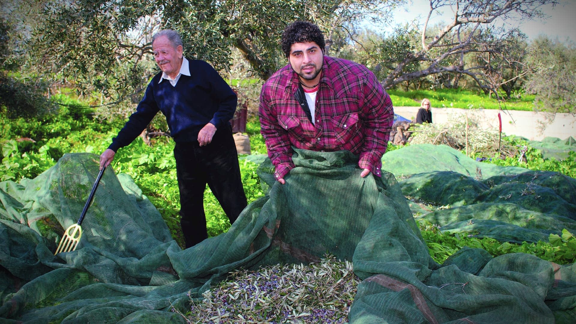 Canadian Company Brings New Recognition to Cretan Olive Oils