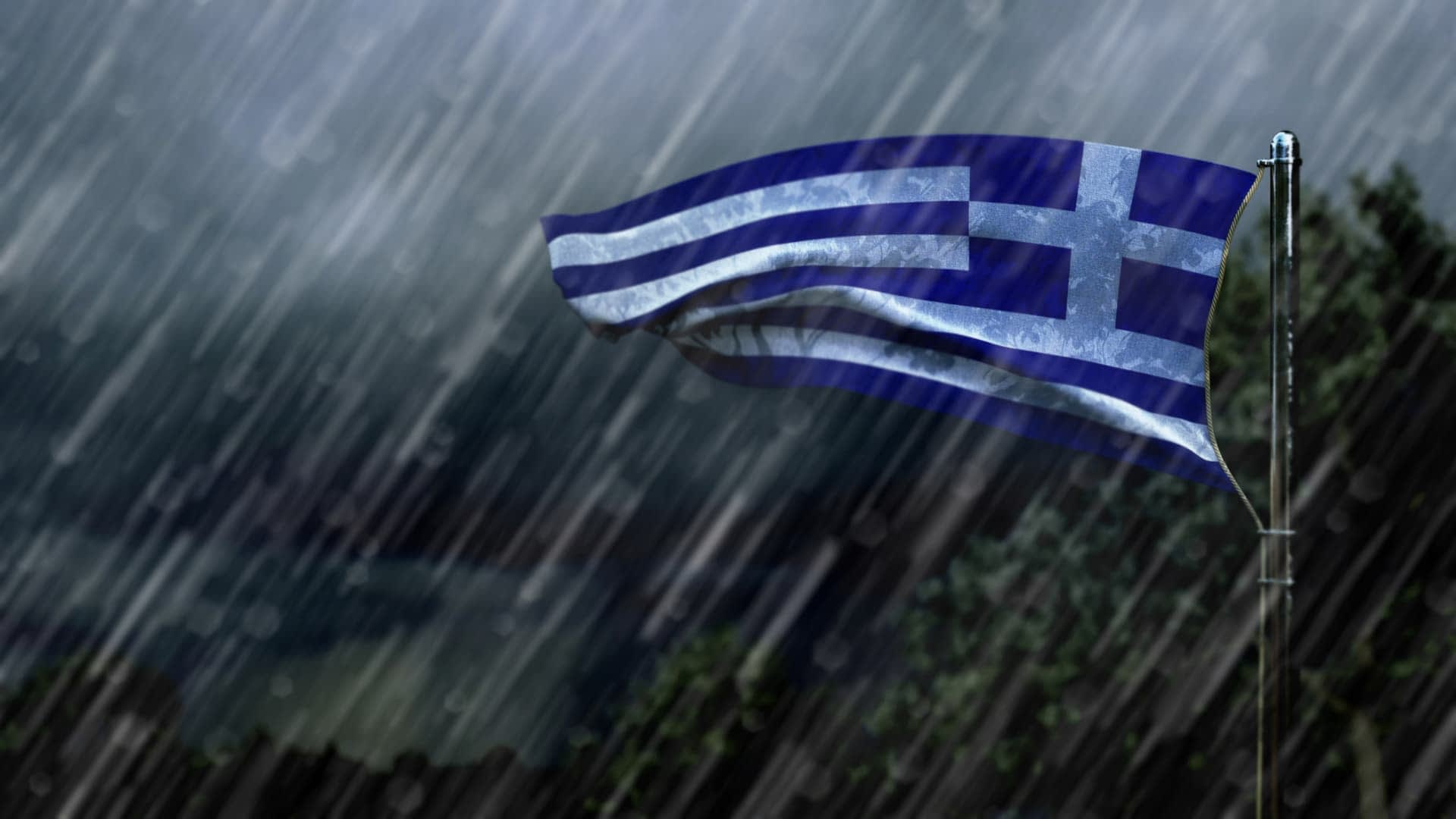 Extreme Weather Ravages Olive Groves Across Greece, Undermining 2025 Output