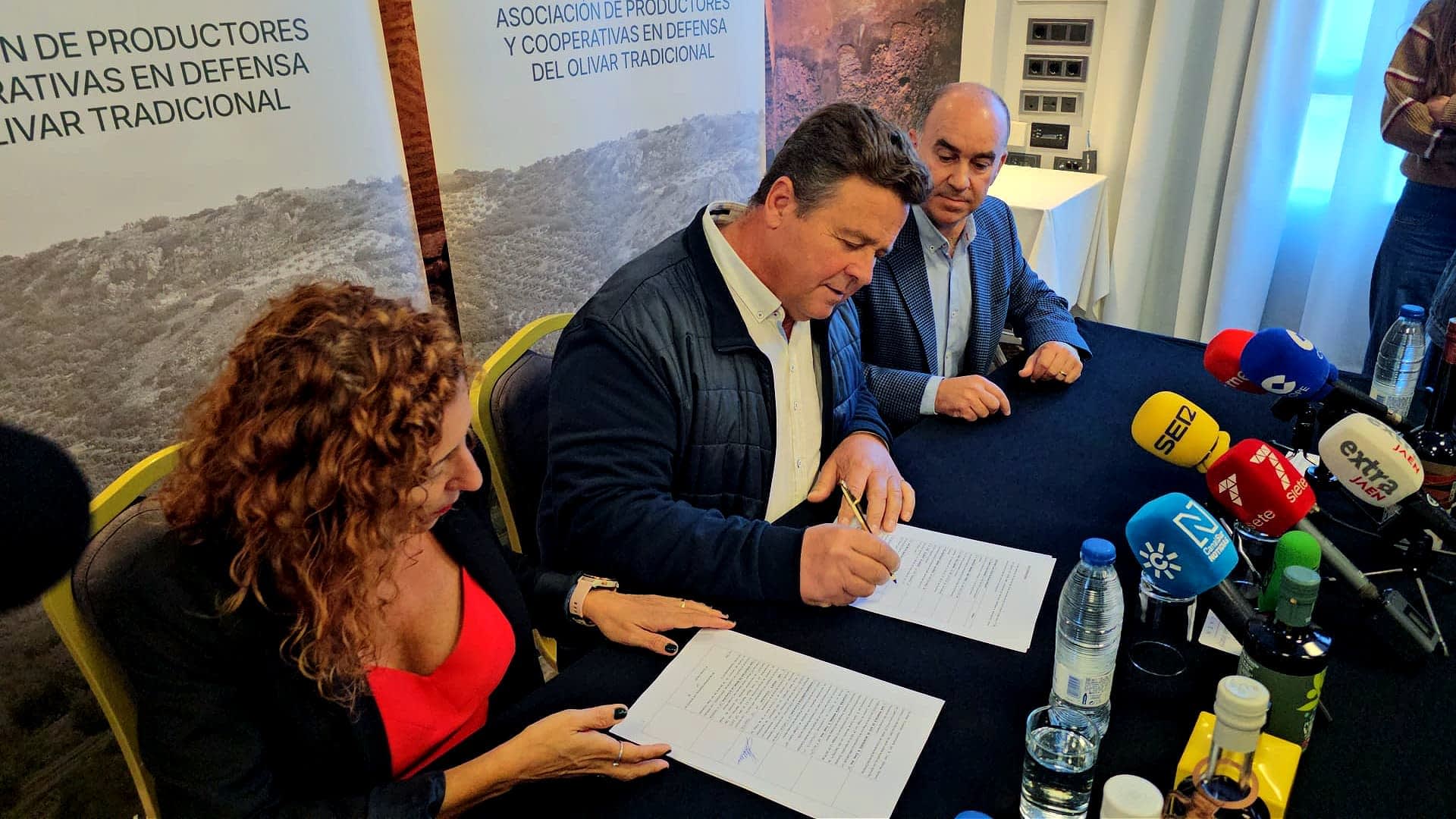 Traditional Growers Unite to Defend Spain’s Historic Olive Groves