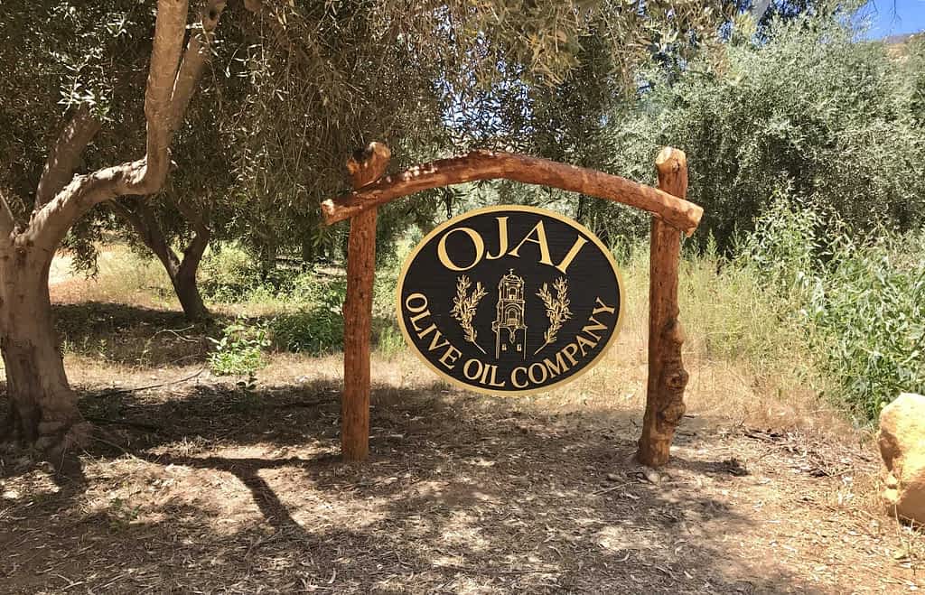 Tuscan Extra Virgin Olive Oil – Ojai Olive Oil