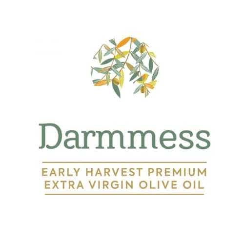 Darmmess Logo