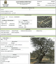 world-mapping-puglias-ancient-olives-olive-oil-times-puglia-monumental-olive--database-entry